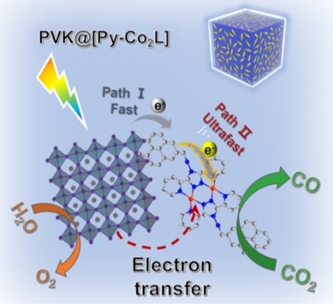 January 27, 2025 Angewandte Chemie International Edition January 27, 2025 Angewandte Chemie International Edition