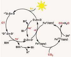 Photocatalytic process. Proposed photochemical process for CO2 reduction with Z-4 (D–Zn–D). Zn is the coordination center; D is the dipyrrin ligand.