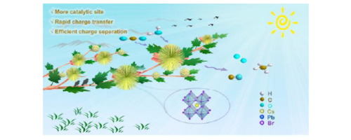 Graphical abstract: Ultrathin metal−organic layers/carbon nitride nanosheet composites as 2D/2D heterojunctions for efficient CO2 photoreduction