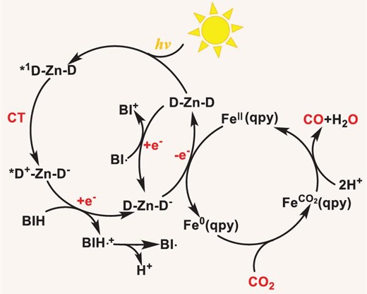 Photocatalytic process. Proposed photochemical process for CO2 reduction with Z-4 (D–Zn–D). Zn is the coordination center; D is the dipyrrin ligand.