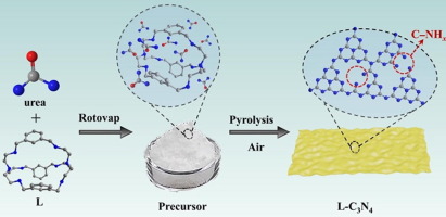 Graphical abstract: Dinuclear metal synergistic catalysis for energy conversion
